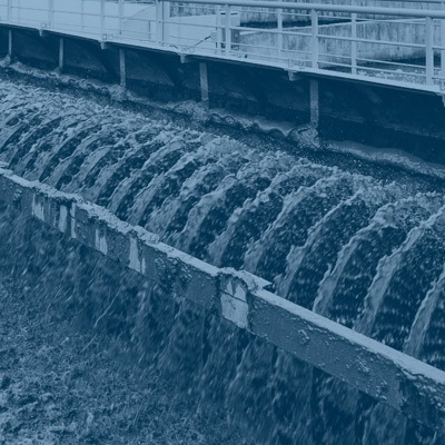 Desalination and Photosynthesis