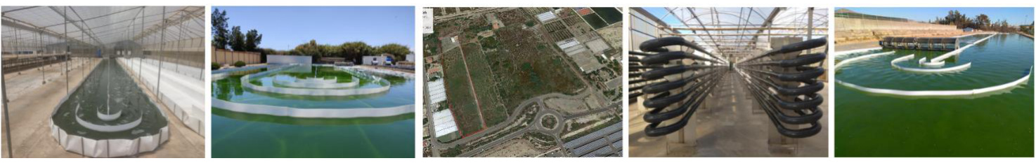 Photobioreactors and raceways of the SABANA Platform