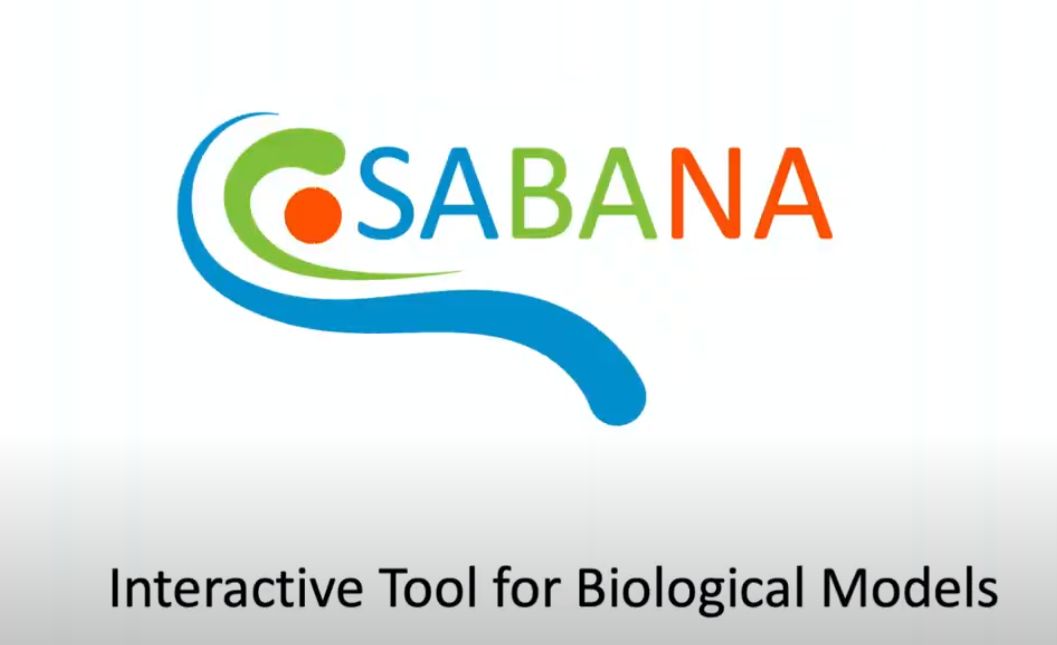 Interactive tool for biological models