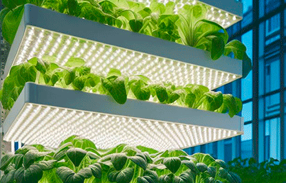 Optimisation of crop growth in Agrikubic containers based on economic and resource efficiency considerations (Optikubic)