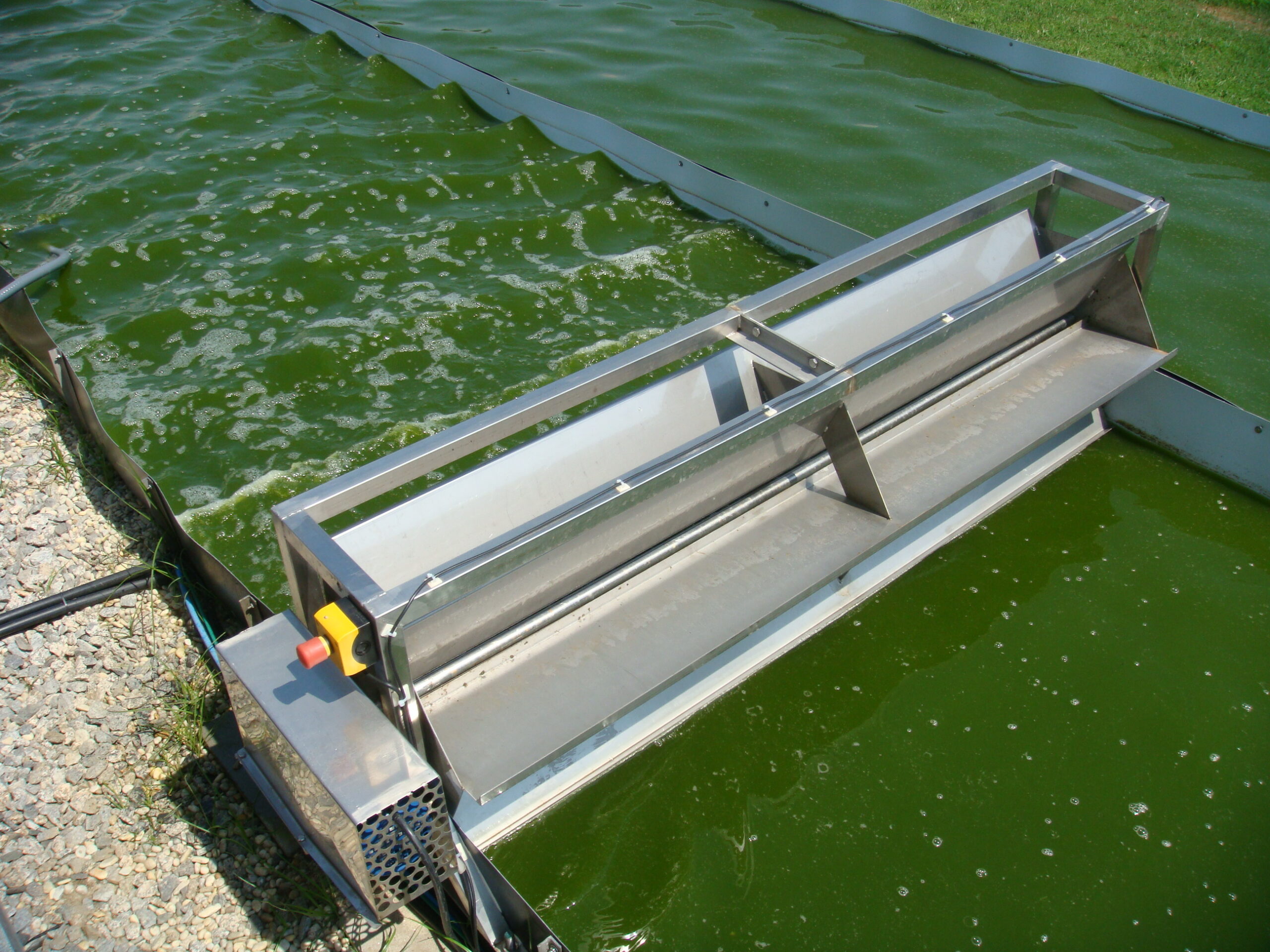 Sustainable production of bioactive proteins and hydrolysates from microalgae (SUSTPROT)