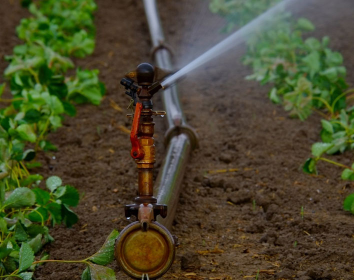 Reuse of reclaimed water in real crops of intensive agriculture: evaluation of antibiotics, bacteria and resistant genes transmission in the water-soil-plant nexus (ANBAGENS)